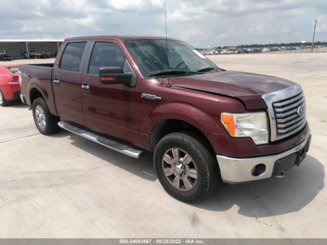 FORD F-150 2010 1ftew1e82afb05243