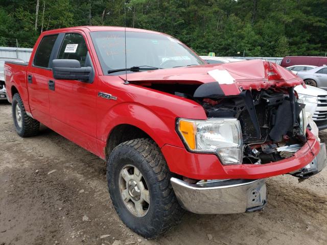 FORD F150 SUPER 2010 1ftew1e82afb20745