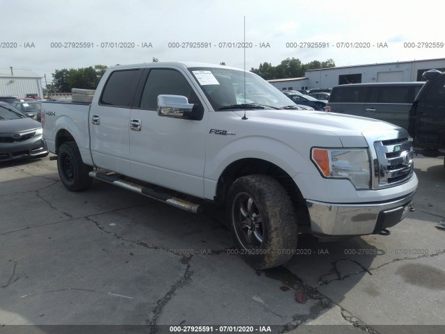 FORD F-150 2010 1ftew1e82afb81691