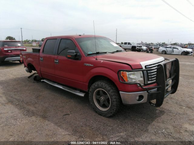 FORD F-150 2010 1ftew1e82afb97907