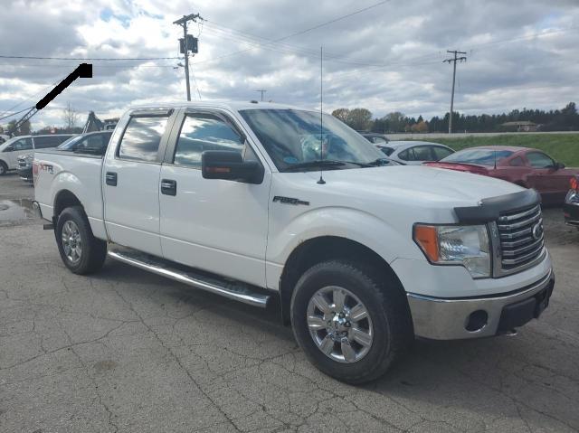 FORD F150 SUPER 2010 1ftew1e82afc38360