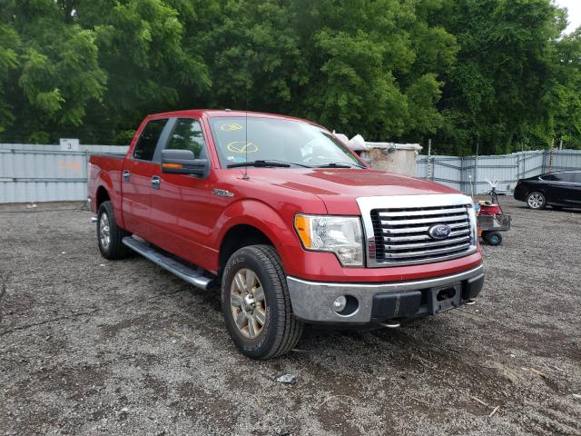 FORD F150 SUPER 2010 1ftew1e82afc41467