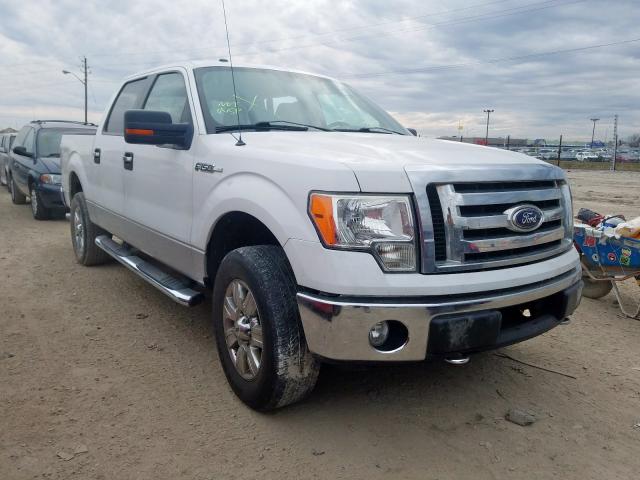 FORD F150 SUPER 2010 1ftew1e82afc47849