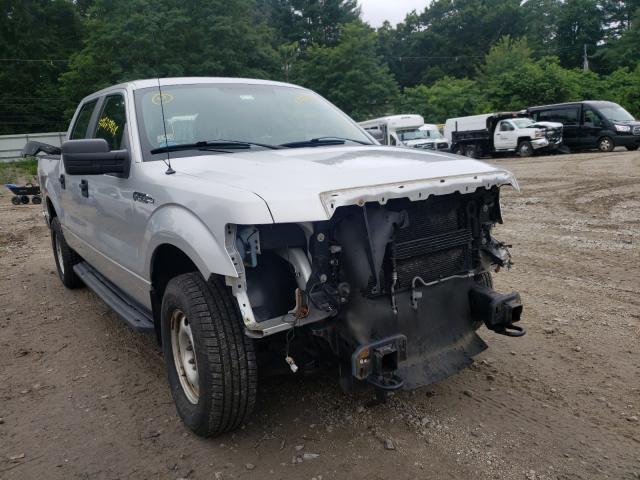 FORD F150 SUPER 2010 1ftew1e82afc74310