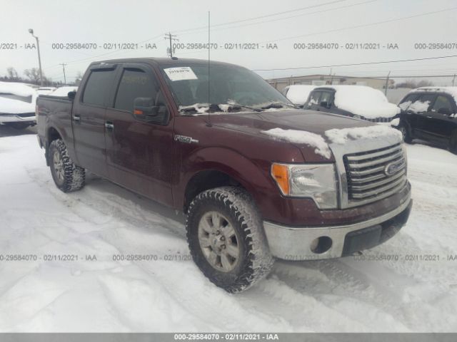 FORD F-150 2010 1ftew1e82afd46798