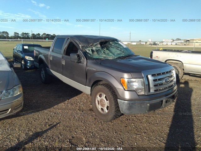 FORD F-150 2010 1ftew1e82afd62094