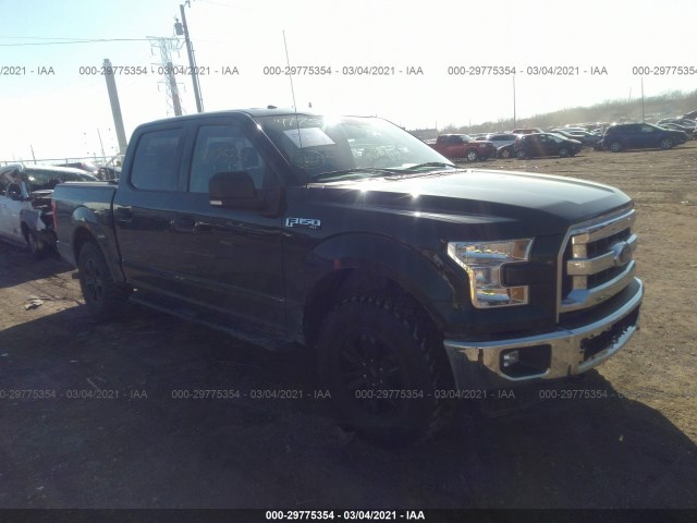 FORD F-150 2016 1ftew1e82gkf33653