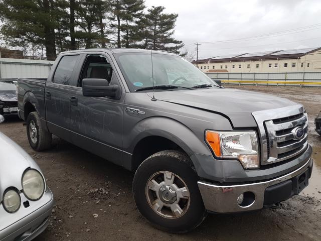 FORD F150 SUPER 2010 1ftew1e83afa29211