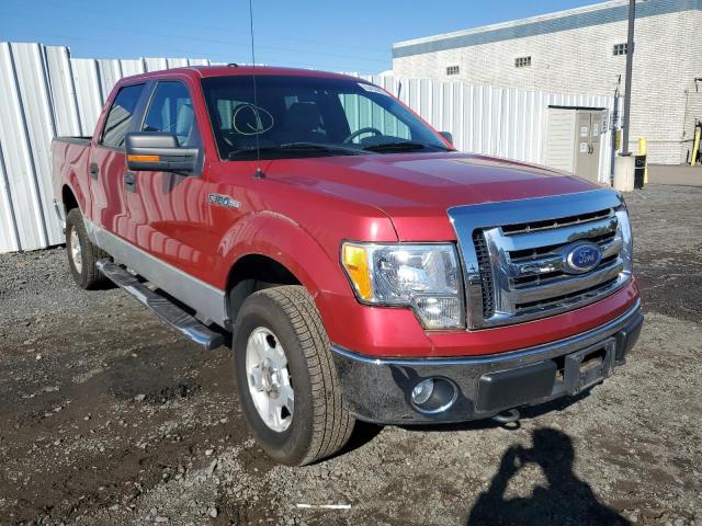 FORD F150 SUPER 2010 1ftew1e83afa48910