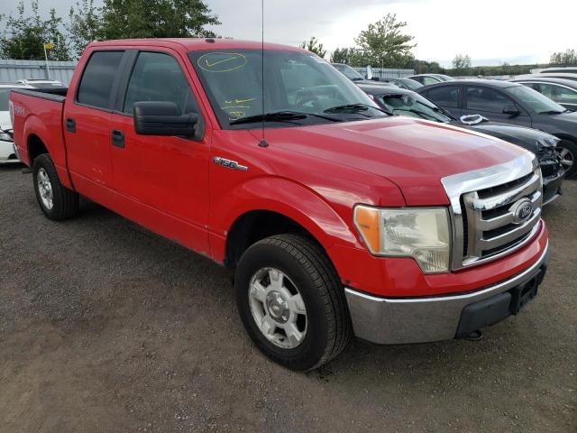 FORD F150 SUPER 2010 1ftew1e83afa65836