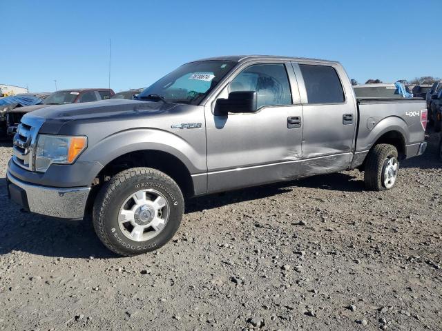 FORD F150 SUPER 2010 1ftew1e83afb34234