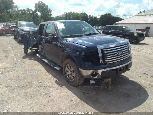 FORD F-150 2010 1ftew1e83afb39899