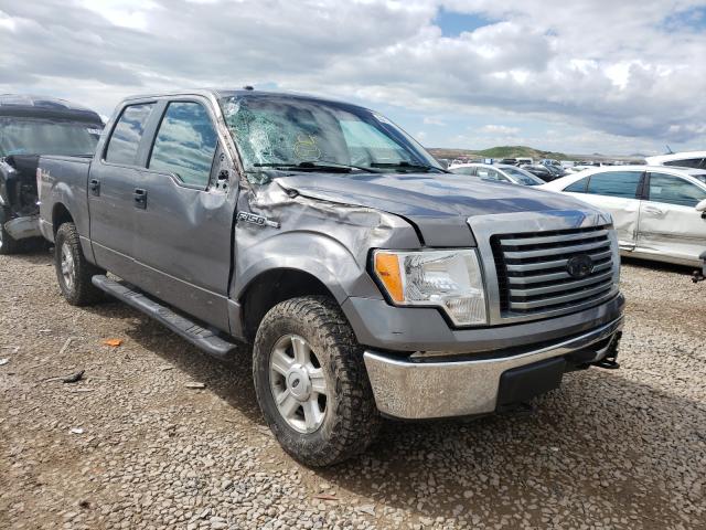 FORD F150 SUPER 2010 1ftew1e83afb41779