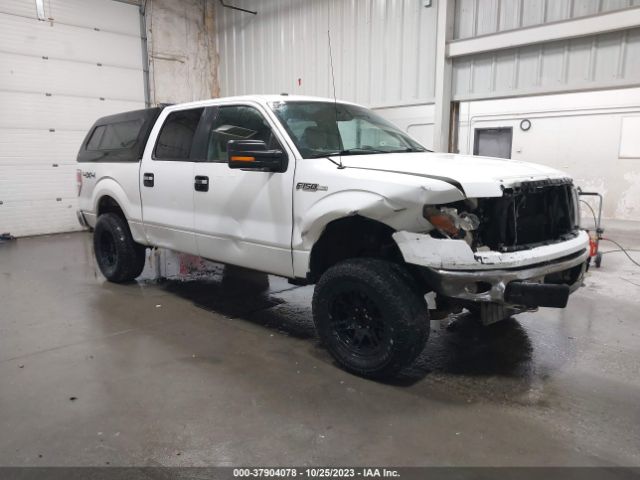 FORD F-150 2010 1ftew1e83afb43984