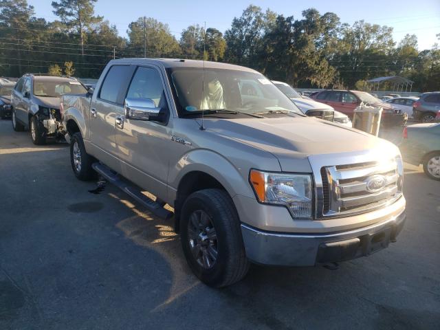 FORD F150 SUPER 2010 1ftew1e83afb99780