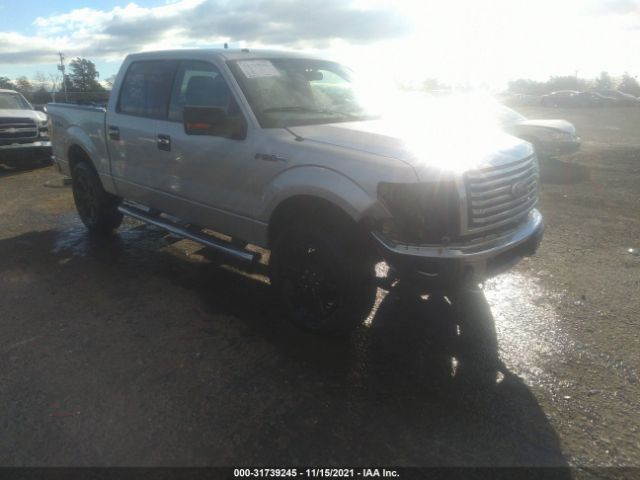 FORD F-150 2010 1ftew1e83afc05349