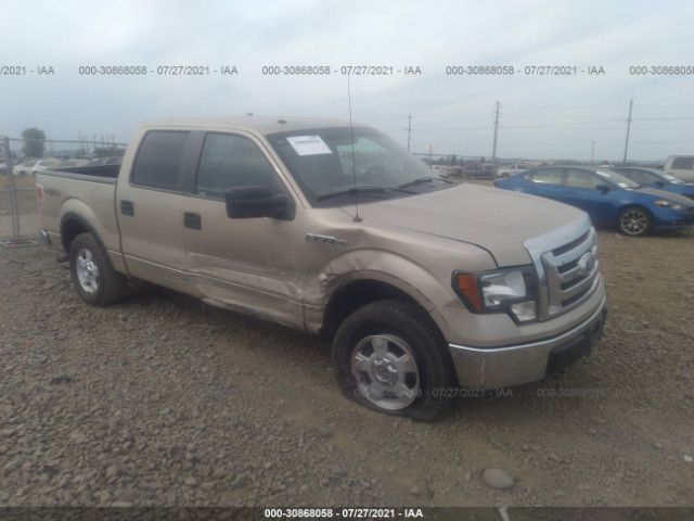 FORD F-150 2010 1ftew1e83afc13287