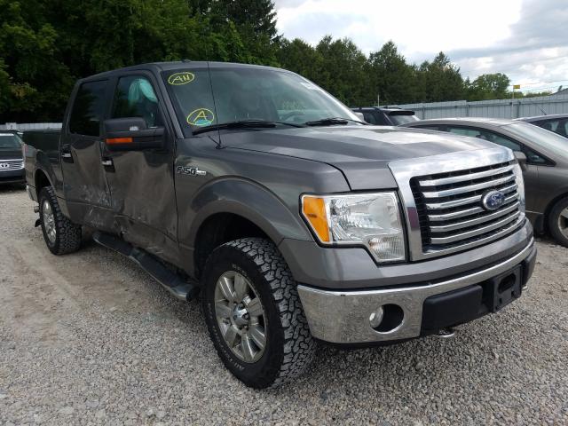 FORD F150 SUPER 2010 1ftew1e83afd59270