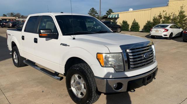 FORD F150 SUPER 2010 1ftew1e83afd73119