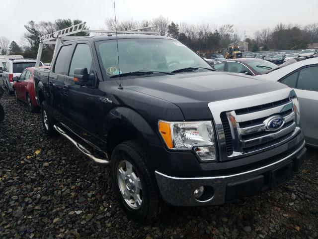 FORD F150 SUPER 2010 1ftew1e83afd81155