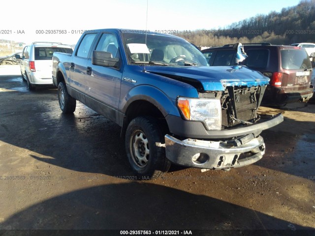 FORD F-150 2010 1ftew1e83ake23427