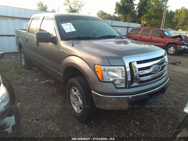 FORD F-150 2010 1ftew1e84afa14958