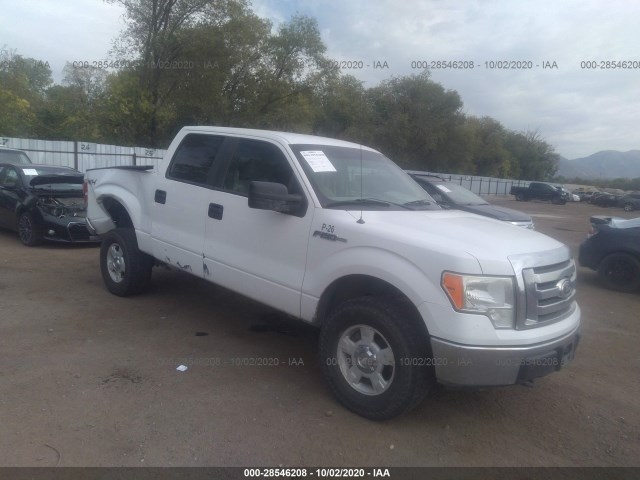 FORD F-150 2010 1ftew1e84afa60872