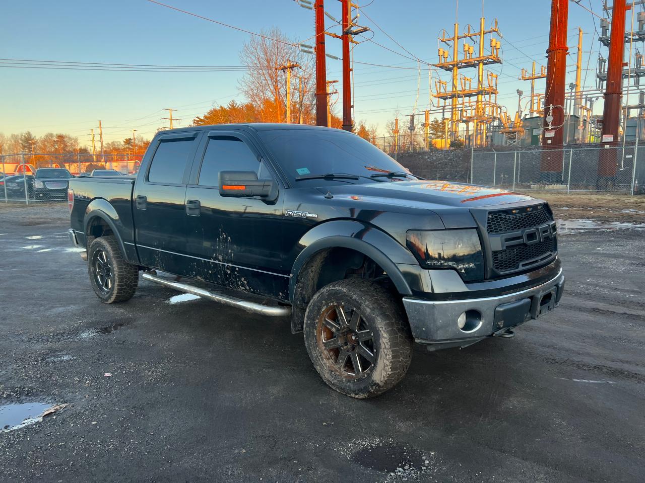 FORD F-150 2010 1ftew1e84afa69345