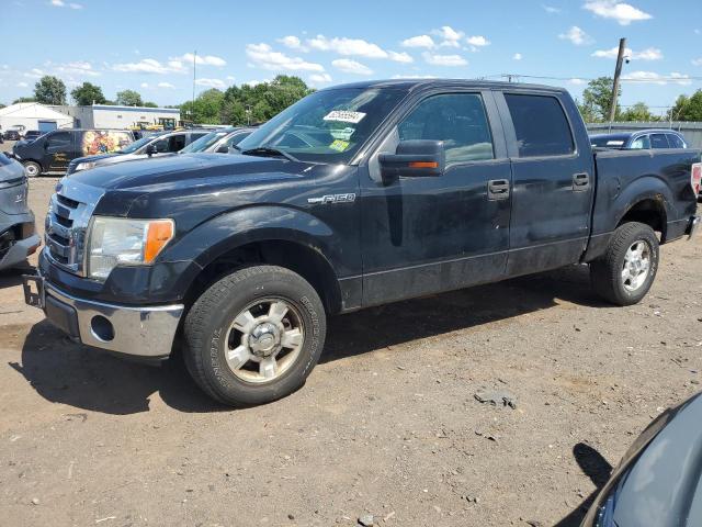 FORD F-150 2010 1ftew1e84afa89210