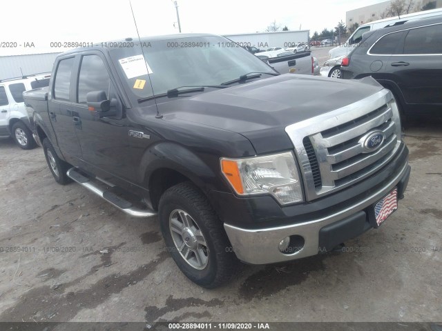 FORD F-150 2010 1ftew1e84afa96318