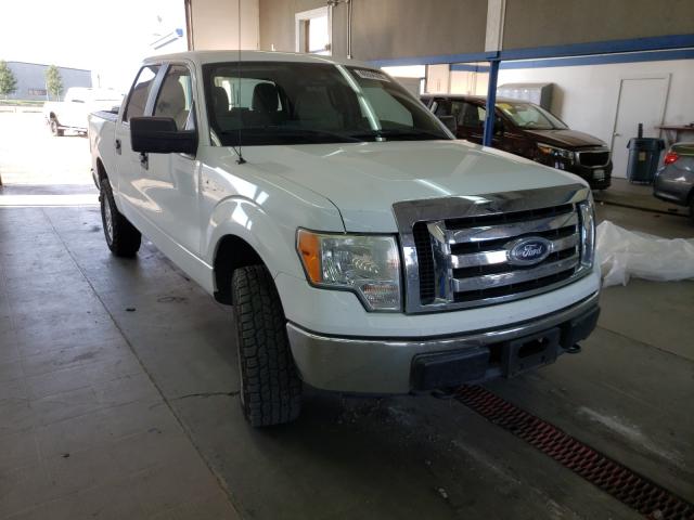 FORD F150 SUPER 2010 1ftew1e84afb20536