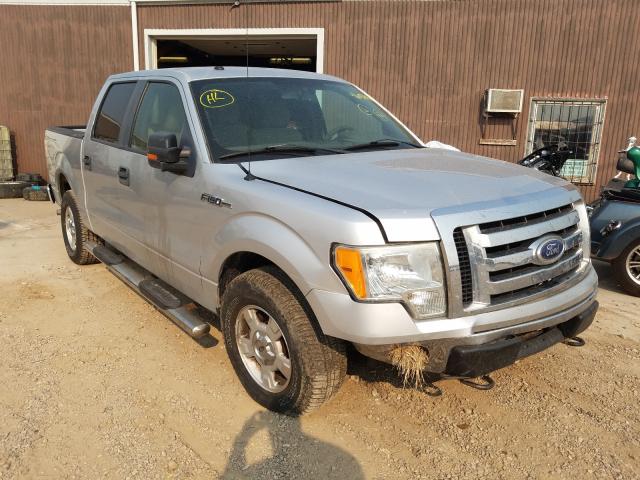 FORD F150 SUPER 2010 1ftew1e84afb44299