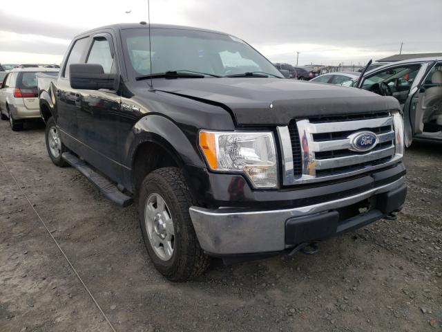 FORD F150 SUPER 2010 1ftew1e84afb51706