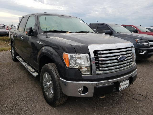 FORD F150 SUPER 2010 1ftew1e84afc67407