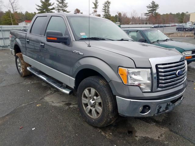 FORD F150 SUPER 2010 1ftew1e84afd21045