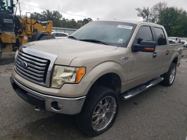 FORD F-150 2010 1ftew1e84afd55146