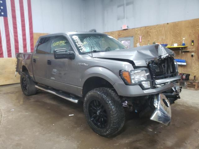 FORD F150 SUPER 2010 1ftew1e84afd59536