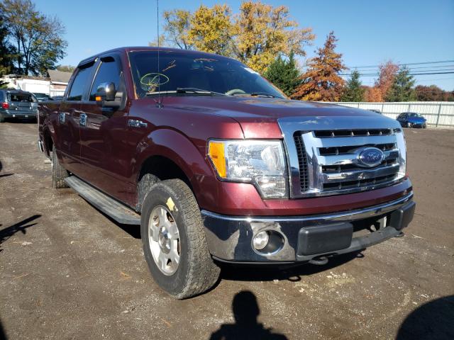 FORD F150 SUPER 2010 1ftew1e84afd90639