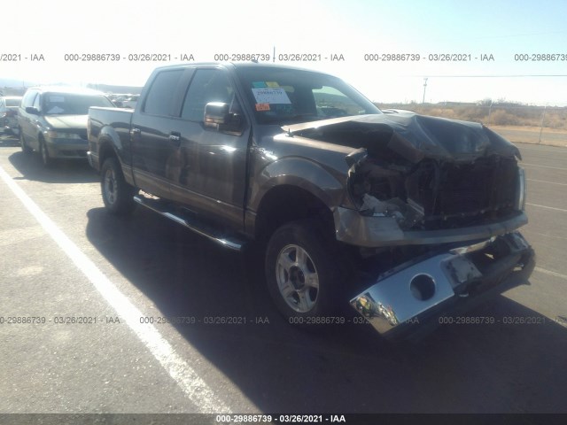 FORD F-150 2010 1ftew1e84akb46562