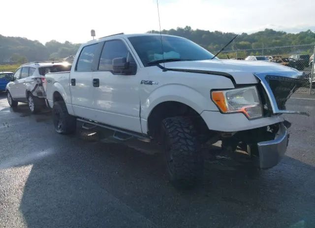 FORD F-150 2010 1ftew1e85afb20402