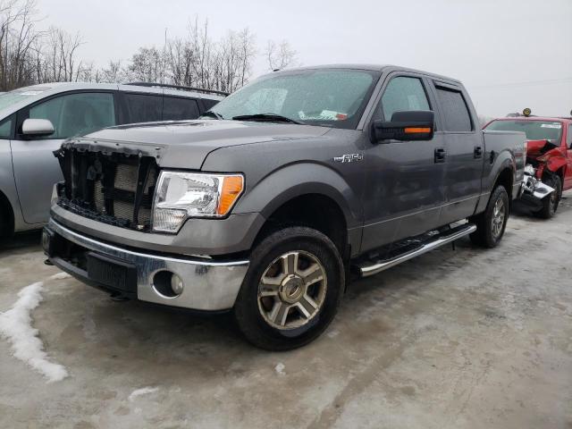 FORD F-150 2010 1ftew1e85afc03702