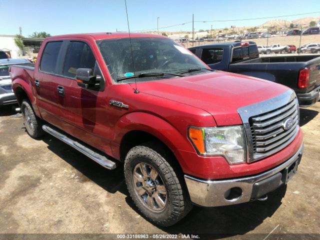 FORD F-150 2010 1ftew1e85afc05112