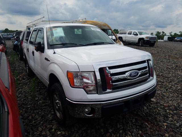 FORD F150 SUPER 2010 1ftew1e85afc54343