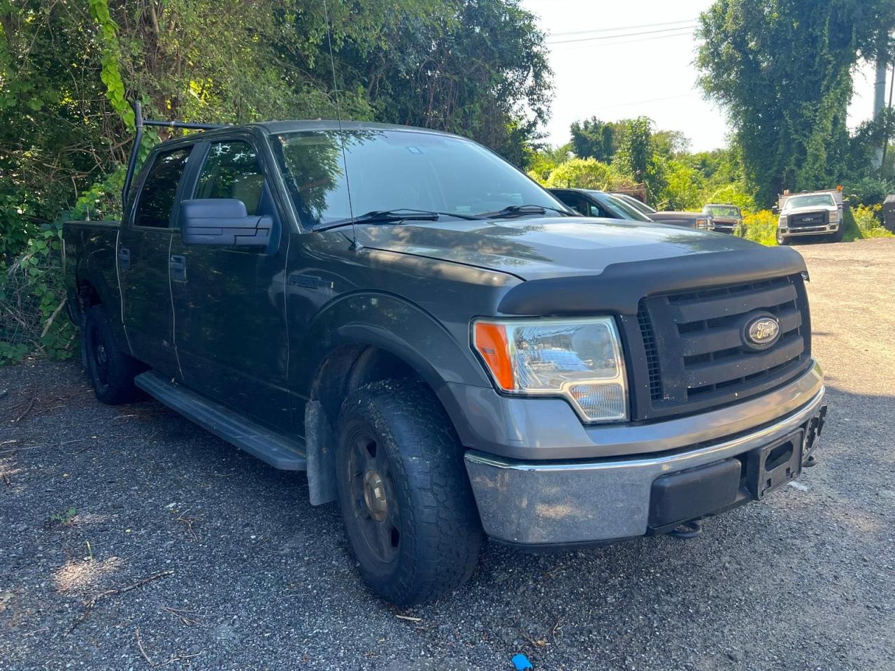 FORD F-150 2010 1ftew1e85afc67397