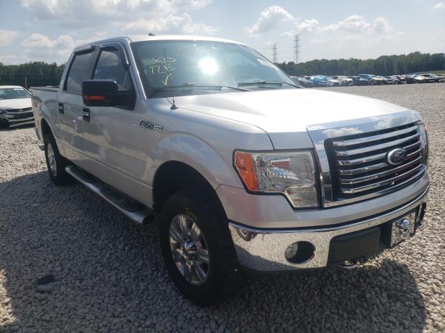 FORD F150 SUPER 2010 1ftew1e85afc68503