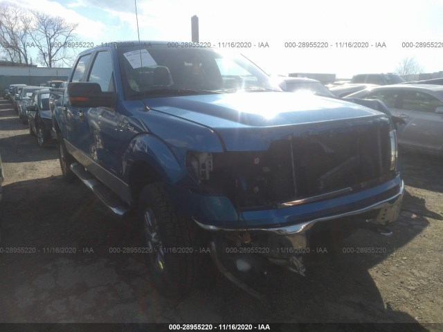 FORD F-150 2010 1ftew1e85afd02701