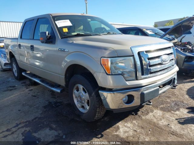 FORD F-150 2010 1ftew1e85aka97548