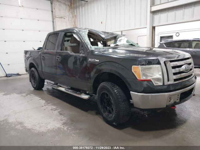 FORD F-150 2010 1ftew1e85ake60897