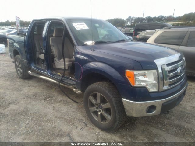 FORD F-150 2010 1ftew1e86afa89208