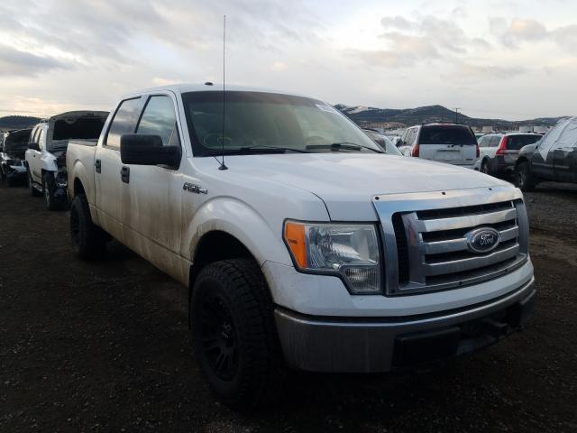 FORD F150 SUPER 2010 1ftew1e86afb31909